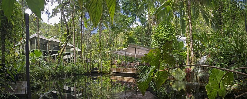 Daintree Eco Lodge treehouses